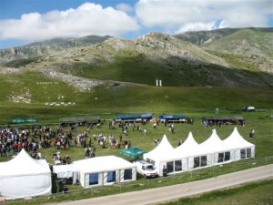 Market 2