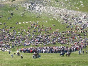 Visitors